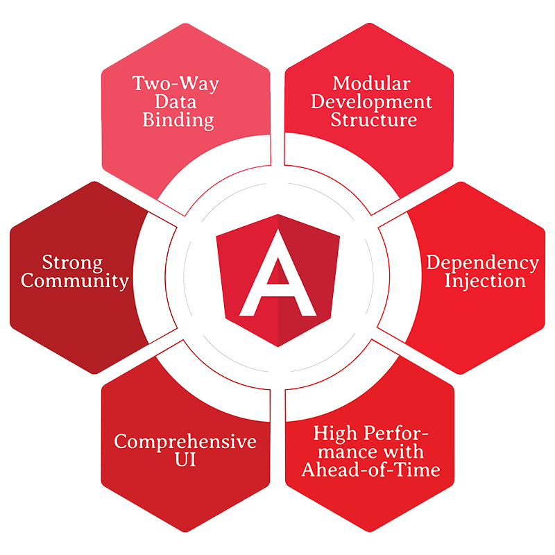 Rowwat Angular Js Development Section Image