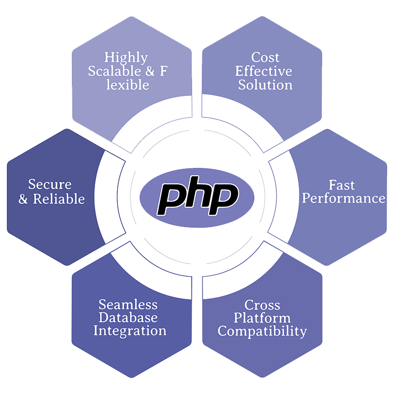 Rowwat Php Development Section Image